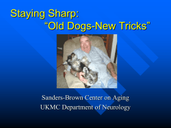 Staying Sharp: &ldquo;Old Dogs