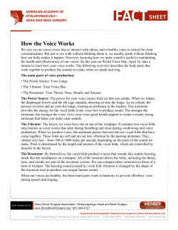 How the Voice Works - Stony Brook Medicine