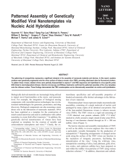 Patterned Assembly of Genetically Modified Viral Nanotemplates via