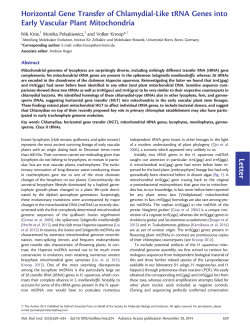 Letter Horizontal Gene Transfer of Chlamydial