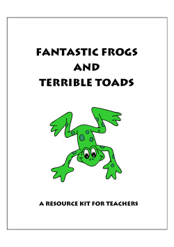 Fantastic Frogs and Terrible Toads