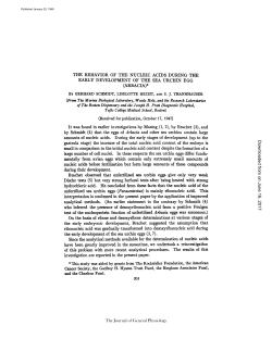 the behavior of the nucleic acids during the early development of the