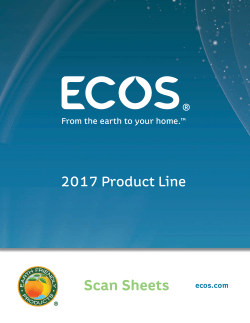 Scan Sheet 2017
