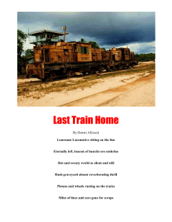 Last Train Home - Oh Beautiful Guyana by Dmitri Allicock