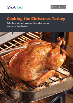 Cooking the Christmas Turkey