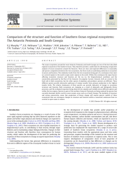 Comparison of the structure and function of Southern Ocean