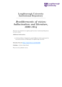 Bewilderments of vision: hallucination and literature, 1880-1914
