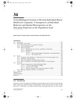 Using Multiagent Systems to Develop Individual
