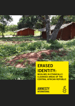 PDF - Amnesty International