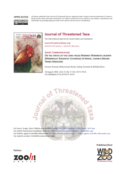 On the status of the Long-tailed Marmot Marmota caudata