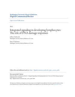 The role of DNA damage responses