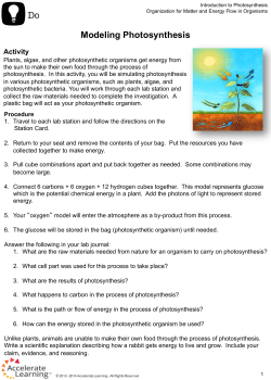 Modeling Photosynthesis