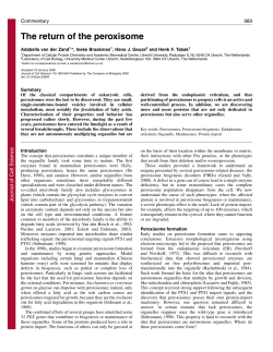 The return of the peroxisome