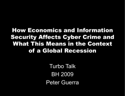 How Economics and Information Security Affects Cyber