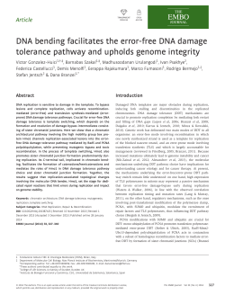 DNA bending facilitates the errorfree DNA damage tolerance