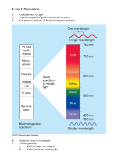 Photosynthesis - rci.rutgers.edu