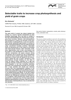 Selectable traits to increase crop photosynthesis