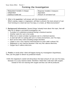 Forming the Investigation