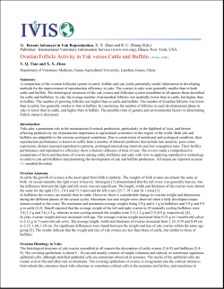 Ovarian Follicle Activity in Yak versus Cattle and Buffalo ( 30