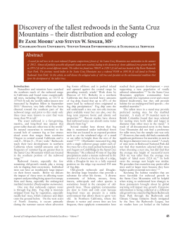 Discovery of the tallest redwoods in the Santa Cruz Mountains