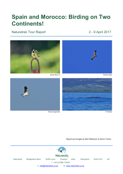 Spain and Morocco: Birding on Two Continents!