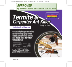 Carpenter Ant Killer