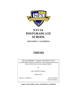 CPO Leadership Thesis