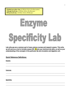 Enzyme Specificity Lab