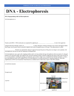 Forensics 25 Day 24 Entomology - ND