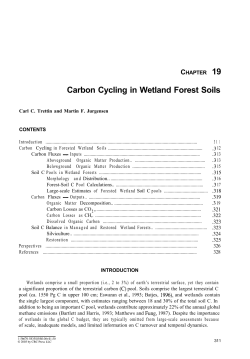 Carbon Cycling in Wetland Forest Soils