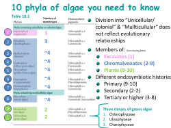 10 phyla of algae you need to know