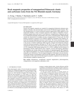 Rock magnetic properties of remagnetized Palaeozoic clastic and