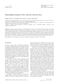 Onosma taxa - De Gruyter