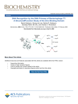 A Structure#Function Study of the Zinc-Binding Domain