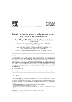 Capacity utilization measures and excess capacity in multi