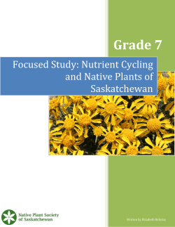 Grade 7 Nutrient Cycling Lesson Plan