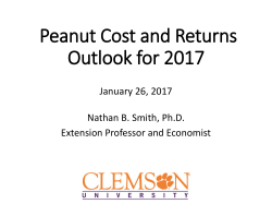 Peanut Cost and Returns Outlook for 2017