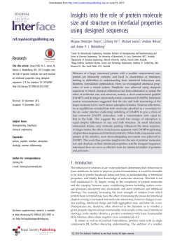Insights into the role of protein molecule size and structure on