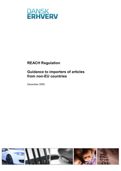 REACH Regulation Guidance to importers of articles from