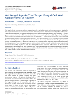 Antifungal Agents That Target Fungal Cell Wall Components: A