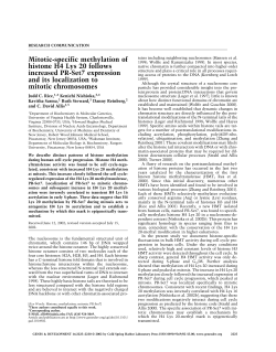 Mitotic-specific methylation of histone H4 Lys 20 follows increased