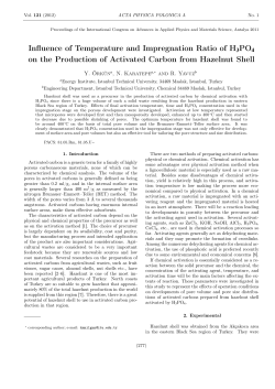 Influence of Temperature and Impregnation Ratio of H3PO4 on the
