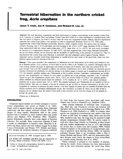 Terrestrial hibernation in the northern cricket frog, Acris cnepitans