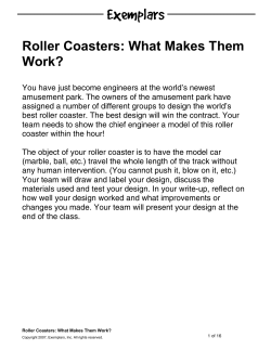 Roller Coasters: What Makes Them Work?