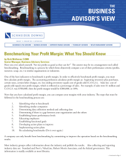 business advisor`s view