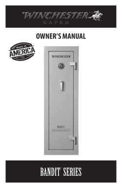 bandit&trade; series - Winchester Safes