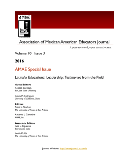 AMAE Special Issue Association of Mexican American Educators