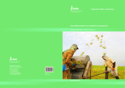 Rural differentiation and smallholder development