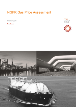 NGFR Gas Price Review Final Report