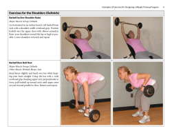 Exercises for the Shoulders (Deltoids)